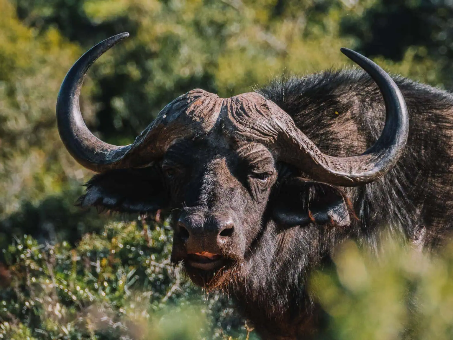 Bezienswaardigheden Zuid-Afrika: de 8 mooiste plekken!