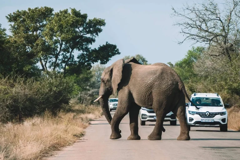 Kosten Zuid-Afrika: hoe duur is een vakantie?