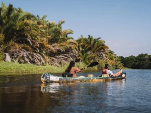 Tips Zuid-Afrika: 16 praktische tips voor jouw vakantie