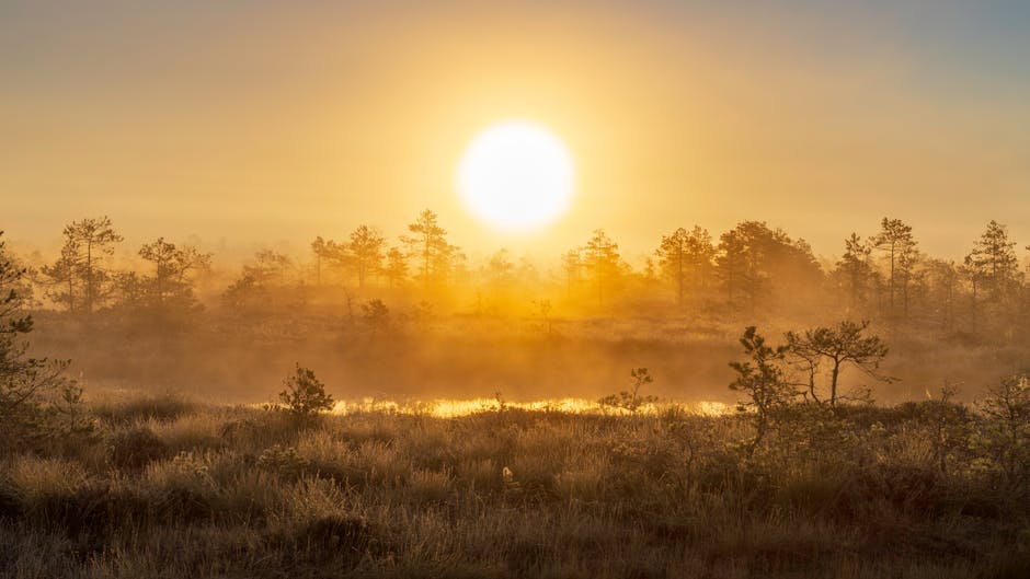 Stop Waking Up at 5 AM Just Because Some Tech CEO Told You To