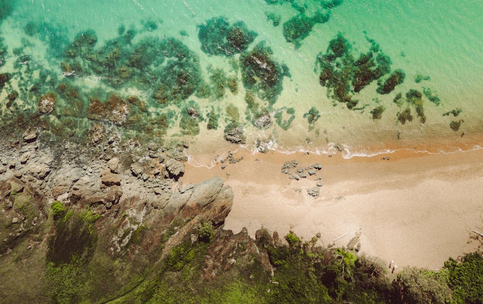 A breathtaking aerial view capturing the vibrant coastline in Yeppoon, Queensland, showcasing turquoise waters and sandy shores.